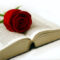 Un libro y una rosa