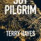 Soy Pilgrim, de Terry Hayes
